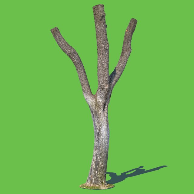 woodrow wilson Modelo 3D .c4d .max .obj .3ds .fbx .stl .blend 