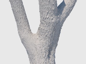 woodrow wilson Modelo 3D