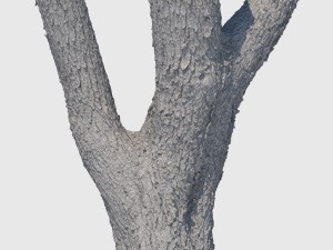 woodrow wilson Modelo 3D