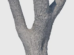 woodrow wilson 3D Model