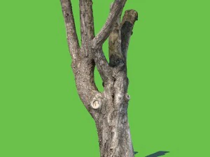 Charles Barley Modelo 3D