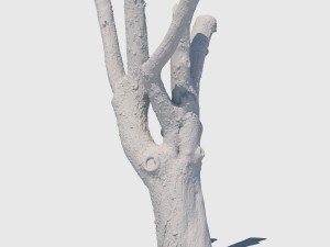 charles barkley 3D Model