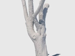 charles barkley 3D Model