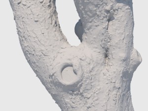 charles barkley 3D Model