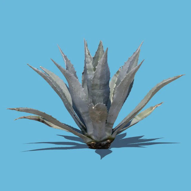 robert plant 3D Model .c4d .max .obj .3ds .fbx .stl .blend 