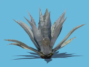 planta robert Modelo 3D