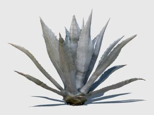 robert plant 3D Model