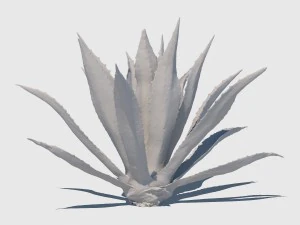 robert plant 3D Model
