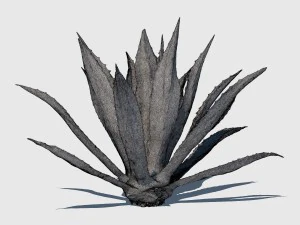 robert plant 3D Model