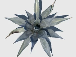 robert plant 3D Model