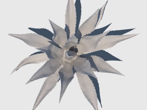 robert plant 3D Модель