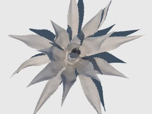 robert plant 3D Model