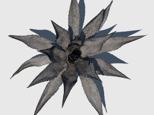 robert plant 3D Модель