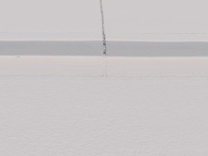 curb side Model 3D