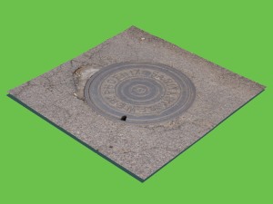 phoenix manhole cover 3D Модель