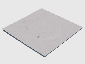 phoenix manhole cover 3D Модель