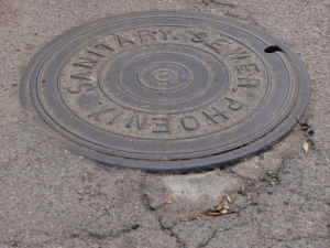phoenix manhole cover 3D Модель