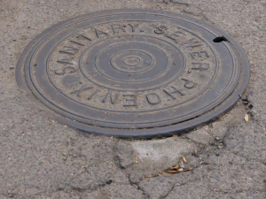 phoenix manhole cover 3D Model