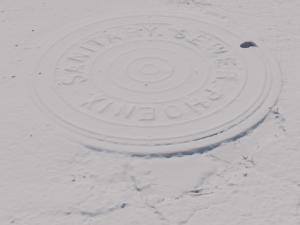 phoenix manhole cover 3D Модель