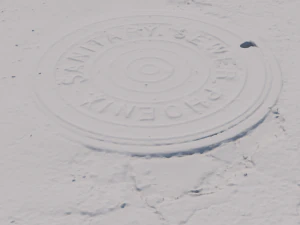 phoenix manhole cover 3D Model