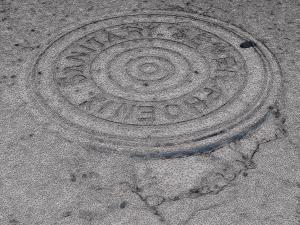 phoenix manhole cover 3D Модель