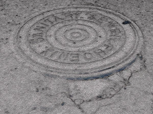 phoenix manhole cover 3D Model