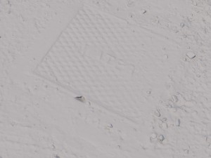 water cover 3D Model