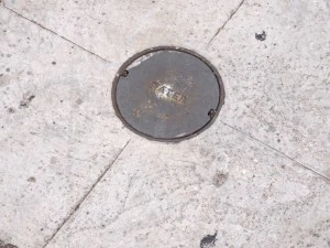 water plate 3D Model