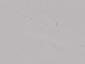 water plate 3D Model