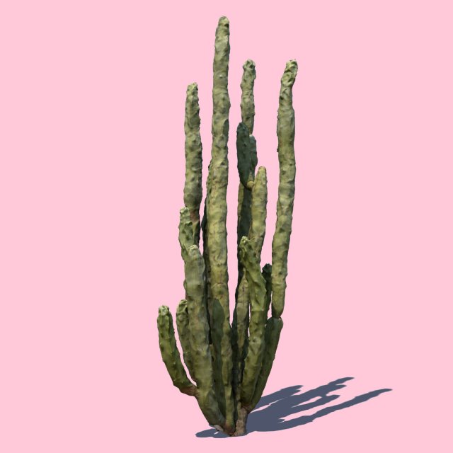 totem cactus Modelo 3D .c4d .max .obj .3ds .fbx .stl .blend 