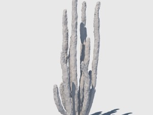 totem cactus Modelo 3D