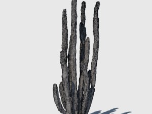 totem cactus Modelo 3D
