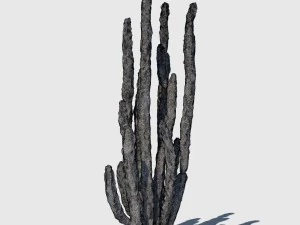 totem cactus 3D Model