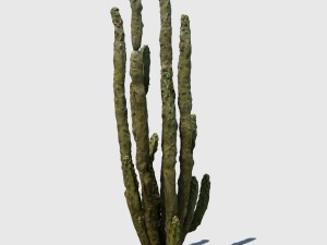 totem cactus Modelo 3D