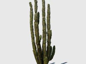 totem cactus 3D Model