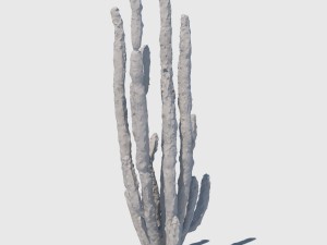 totem cactus Modelo 3D