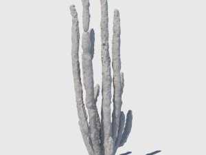 totem cactus 3D Model