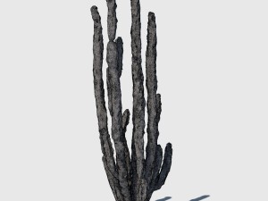 totem cactus Modelo 3D