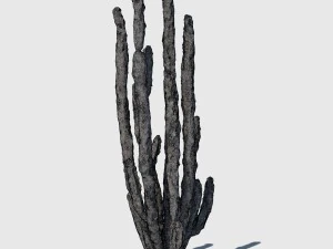 totem cactus 3D Model