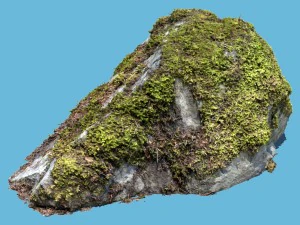 凯特&middot;莫斯摇滚 3D 模型