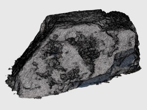 randy moss rock Model 3D