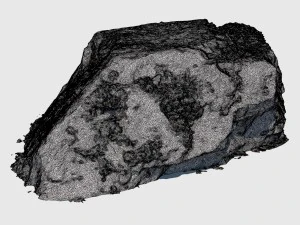 randy moss rock 3D Model