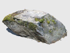 randy moss rock Model 3D