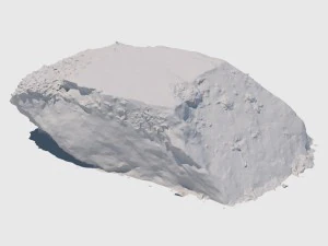 randy moss rock 3D Model