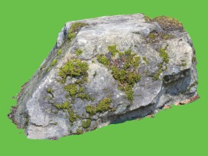 randy moss rock Model 3D