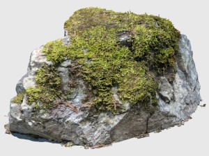 sir stirling moss rock Modelo 3D