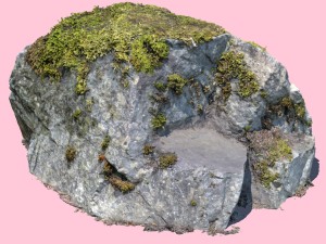 sir stirling moss rock 3D Model