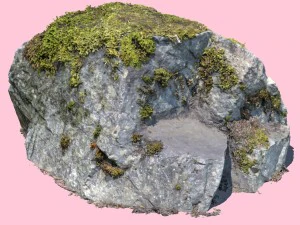 सर स्टर्लिंग मॉस रॉक 3D मॉडल