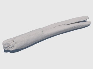 woodchuck 3D Модель