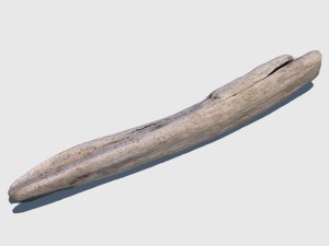 woodchuck 3D Модель